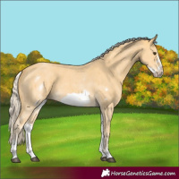 Horse Color:White Spotted Palomino Sabino Frame 
