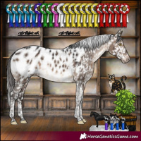 Horse Color:Brown Dun Tobiano Appaloosa Rabicano Brindle