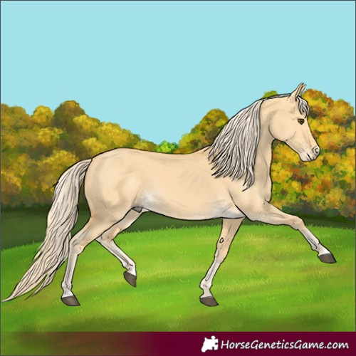 Horse Color:Palomino Dun