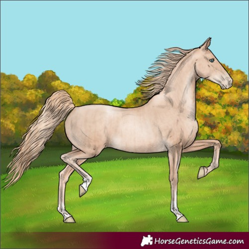 Horse Color:Gold Champagne Pearl Rabicano  and Gold Champagne Pearl Rabicano 