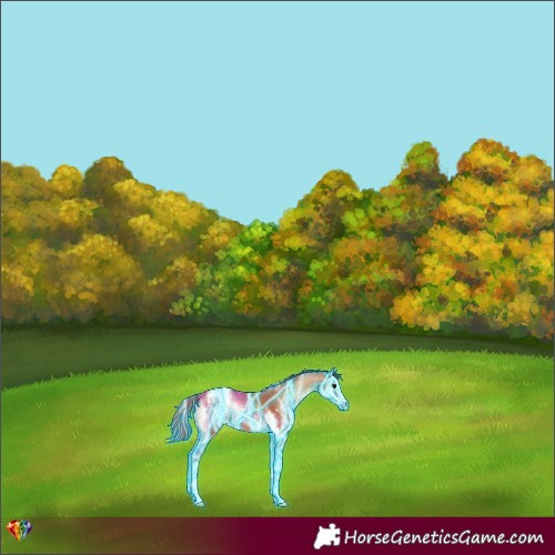 Horse Color:Thunderstruck Chocolate Bay Onyx Sabino 