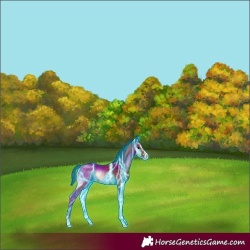 Horse Color:Thunderstruck Bay Onyx 