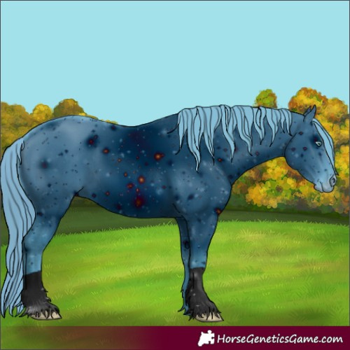Horse Color:ERROR: UNKNOWN ANOMALY
