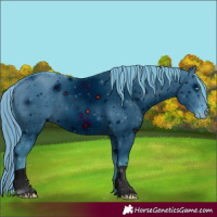 Horse Color:ERROR: UNKNOWN ANOMALY
