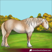 Horse Color:Gray Palomino 