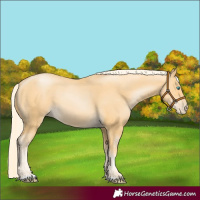 Horse Color:Palomino Pearl 