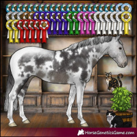 Horse Color:White Spotted Smoky Black Tobiano Rabicano 