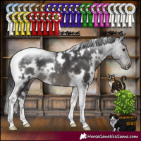 Horse Color:White Spotted Smoky Black Tobiano Rabicano