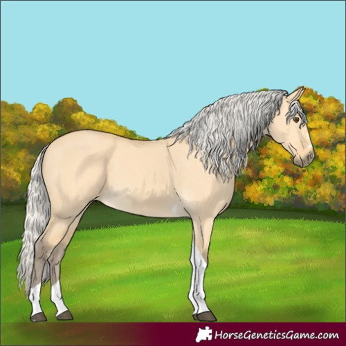 Horse Color:Silver Buckskin Dun Tobiano