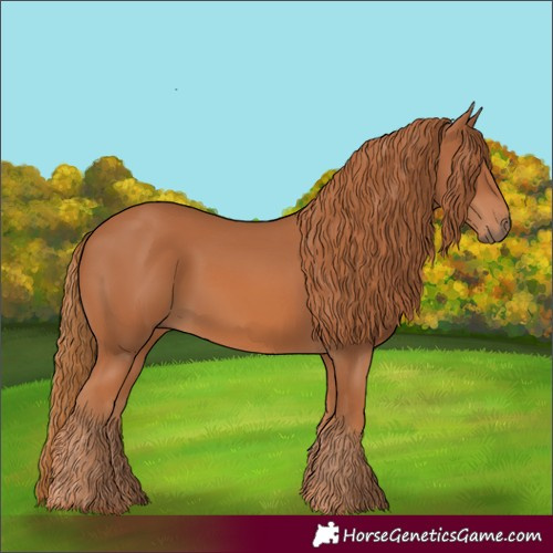 Horse Color:Chestnut 