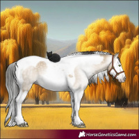 Horse Color:Gray Amber Champagne Dun Splash Tobiano 