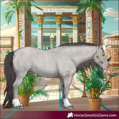 Horse Color:Classic Cream Champagne Roan 