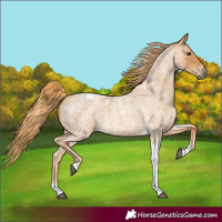 Horse Color:Red Roan Tobiano 