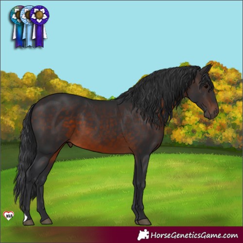 Horse Color:Brown 