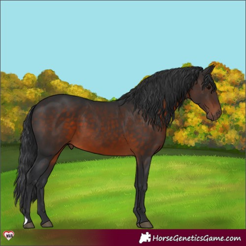 Horse Color:Brown 