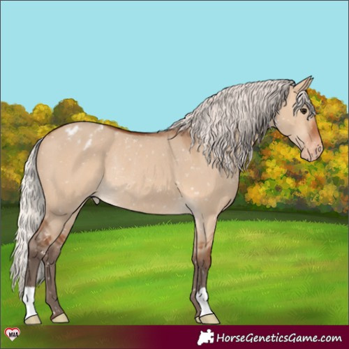 Horse Color:Silver Bay Dun Snowflake Varnish Rabicano 