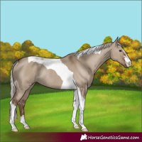 Horse Color:Silver Grullo Tobiano Rabicano