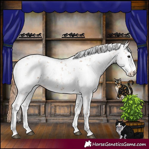 Horse Color:Chestnut Sabino