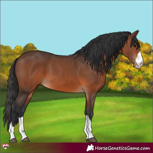 Horse Color:Brown 