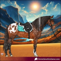Horse Color:Bay Snowflake Varnish 