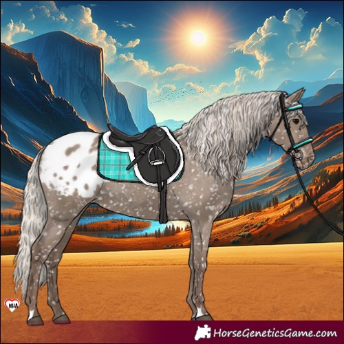 Horse Color:Silver Grullo Snowflake Varnish 
