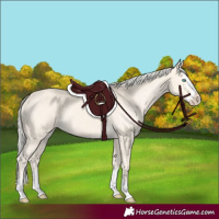Horse Color:Cremello Splash Varnish 