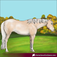 Horse Color:Silver Buckskin Pearl 
