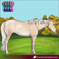 Horse Color:Silver Buckskin Pearl 