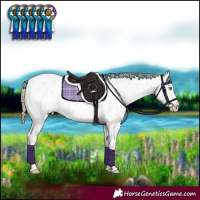 Horse Color:Smoky Black Pearl Sabino Varnish Rabicano 