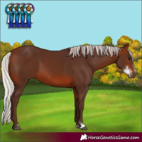Horse Color:Silver Brown Sabino 