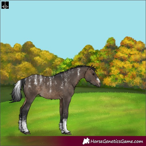 Horse Color:Powder White Brown Dun Rabicano