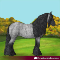Horse Color:Unknown 