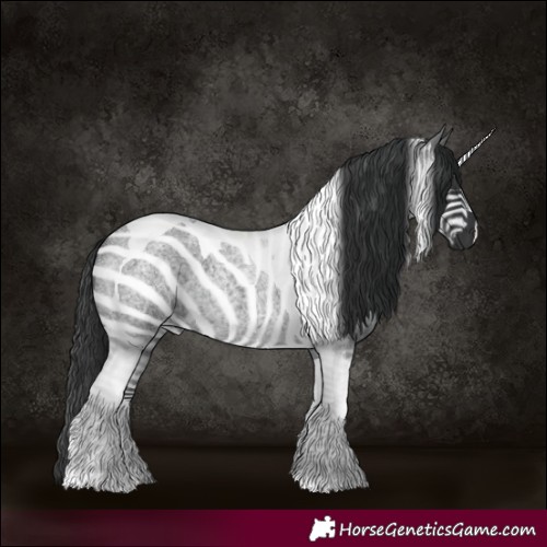 Horse Color:Blue Roan Tobiano
