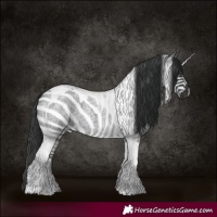 Horse Color:Blue Roan Tobiano 