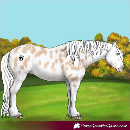 Horse Color:Silver Perlino Tobiano Appaloosa