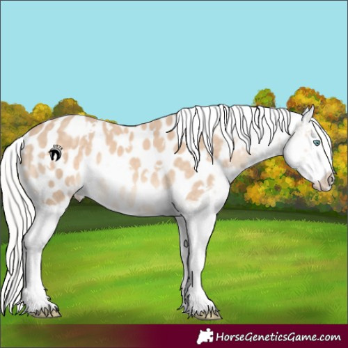 Horse Color:White Spotted Silver Perlino Near Leopard 