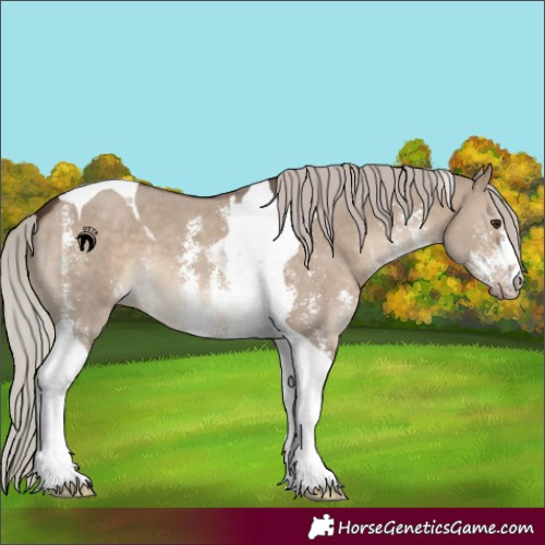 Horse Color:Silver Brown Dun Sabino Tobiano