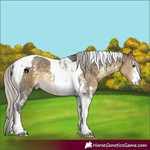 Horse Color:Silver Buckskin Dun Sabino Tobiano