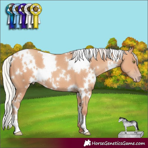 Horse Color:White Spotted Silver Amber Champagne 