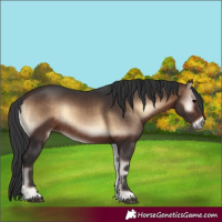 Horse Color:Brown Onyx Rabicano