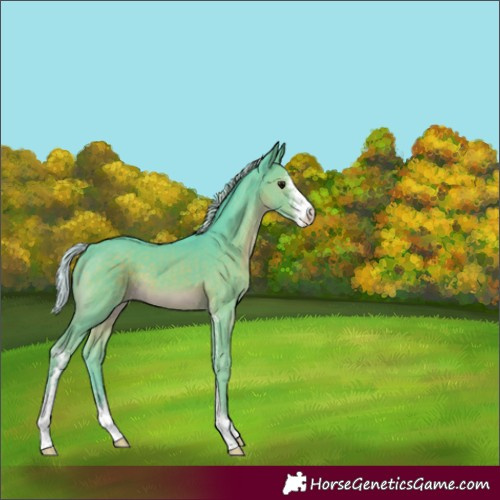 Horse Color:Watercolor Silver Black Sabino 