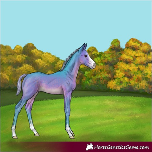 Horse Color:Watercolor Silver Brown Sabino 