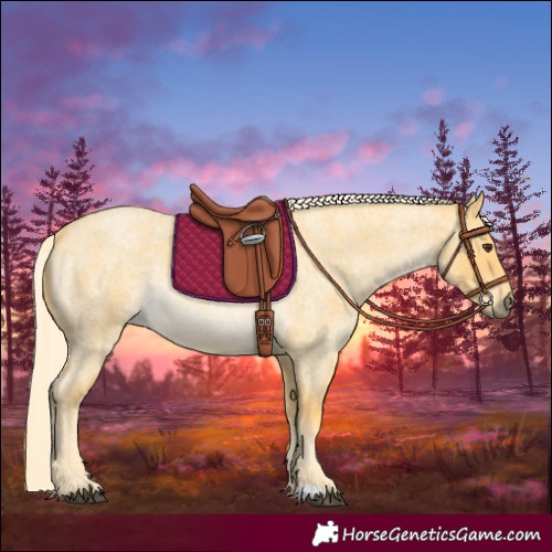 Horse Color:Palomino Roan 