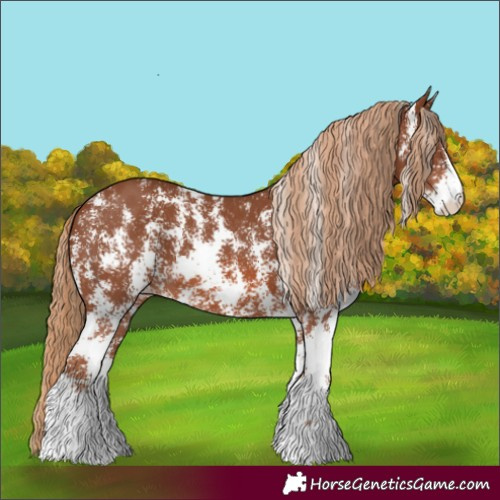 Horse Color:Chestnut Sabino 