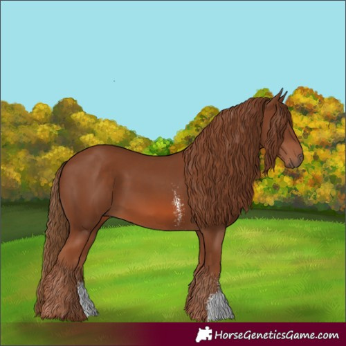 Horse Color:Unknown 