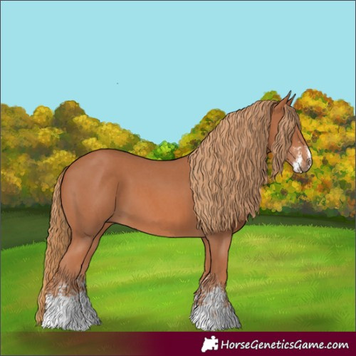 Horse Color:Unknown 