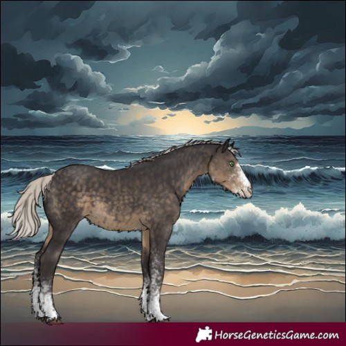 Horse Color:White Spotted Silver Smoky Black Rabicano 