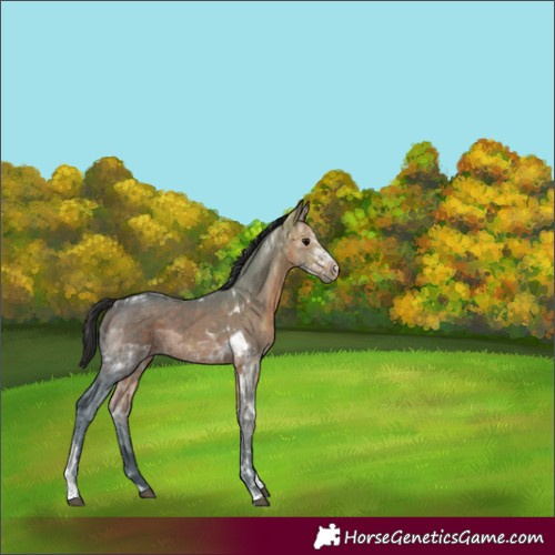Horse Color:Brown Ice Tobiano 