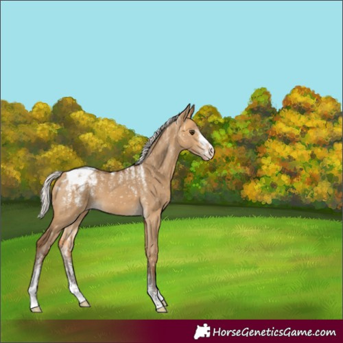 Horse Color:Powder White Silver Buckskin Dun Snowflake Varnish 