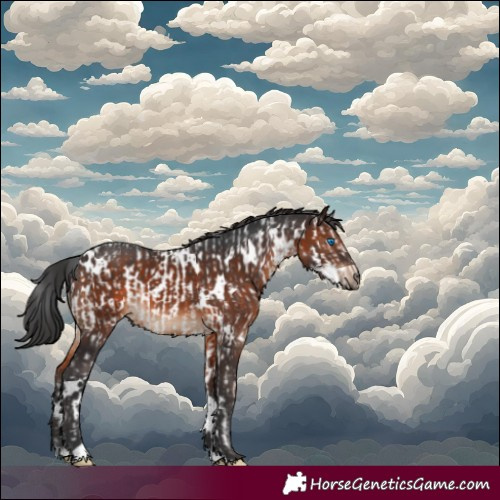 Horse Color:Brown Splash Tobiano Near Leopard  and White Spotted Brown 